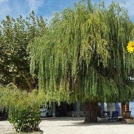 منزل الضيف Courthézon  في Dreams Of Provence المظهر الخارجي الصورة